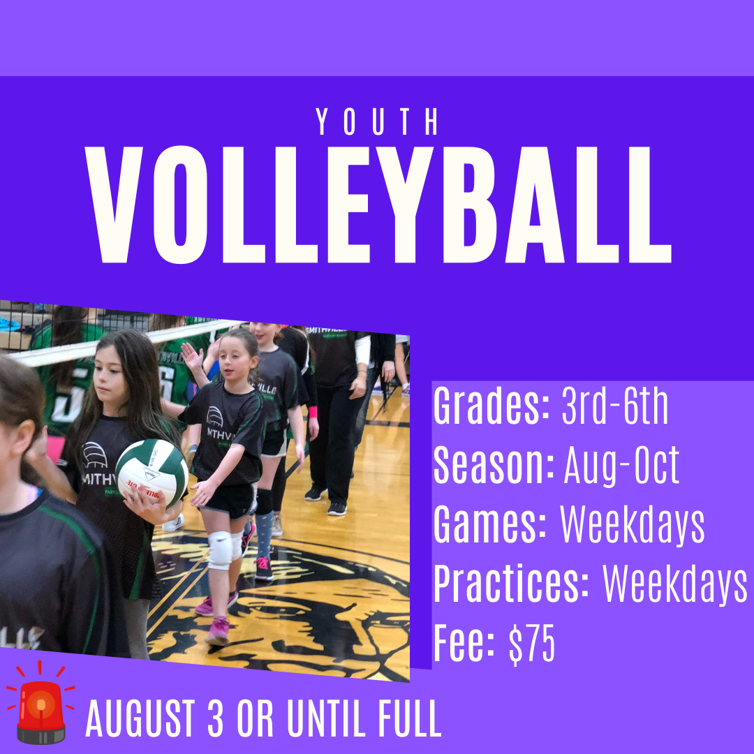 Volleyball fall